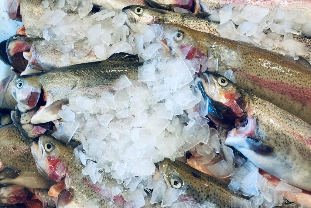 Stora delar av världshavens kommersiella fiskbestånd är nyttjade till max eller överutnyttjade.