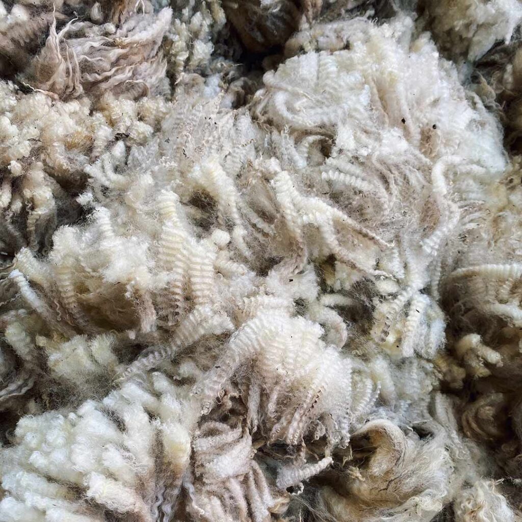 Lack of the right market conditions is hindering the uptake of Swedish wool.